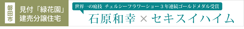 磐田建売分譲地